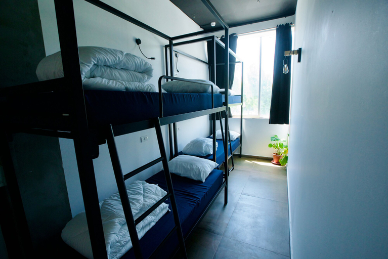 Bedroom 5, Jungle Jaffa Hostel Age 18 to 45