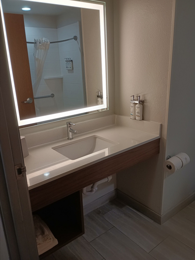 Bathroom 4, Holiday Inn Express & Suites JOURDANTON-PLEASANTON, Atascosa