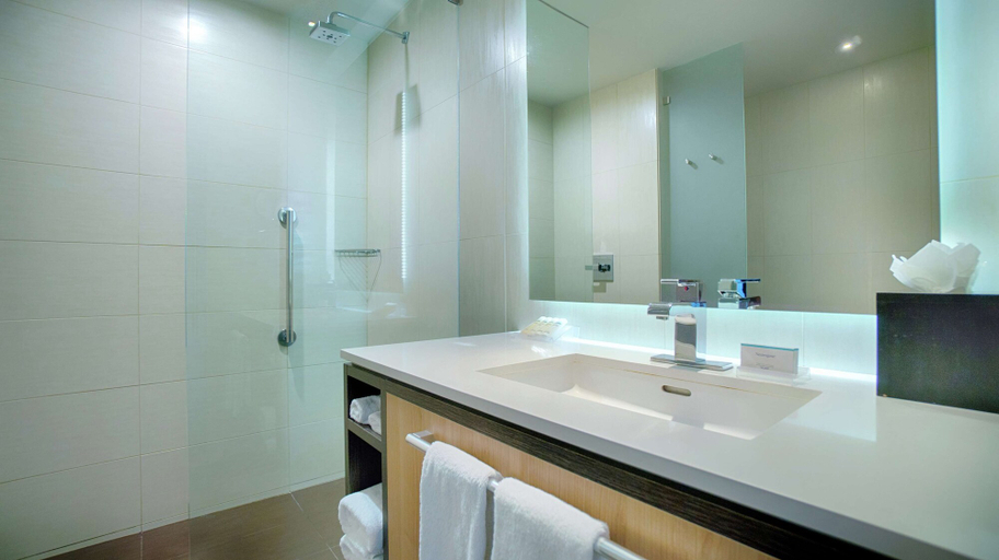 Bathroom 4, Hilton Garden Inn San Jose La Sabana, San José