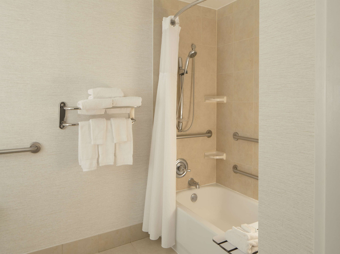 Bathroom 4, Hilton Garden Inn Austin Downtown, Travis