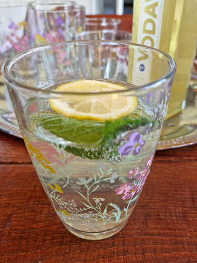 Food & Drinks 5, Holiday Home Paunovaca, Erdut