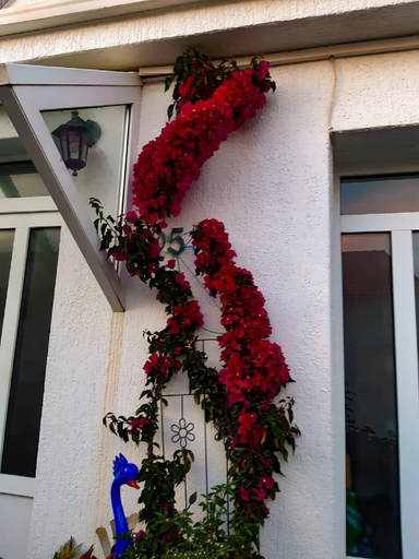 Exterior & Views, Apartments Snjezana, Lopar/Supetarska Draga