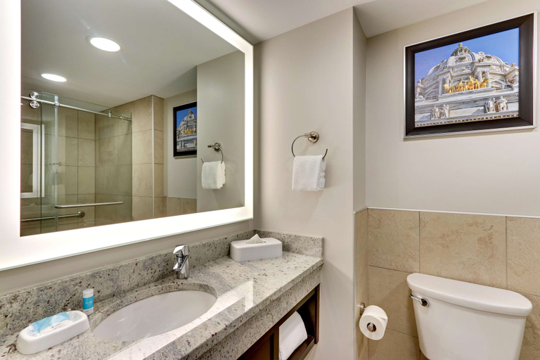 Bathroom 5, Drury Plaza Hotel St. Paul Downtown, Ramsey