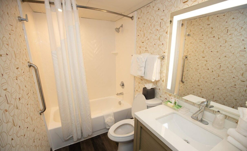 Bathroom 4, Wyndham Houston Hobby Airport, Houston