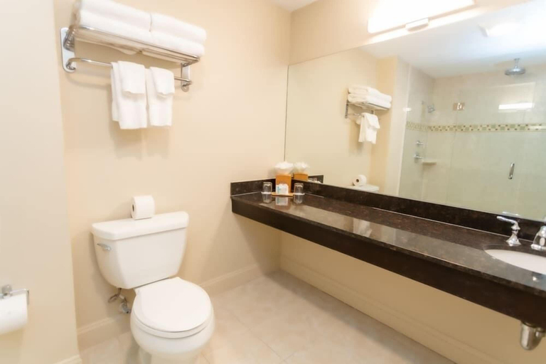 Bathroom 4, American Hotel, Monmouth