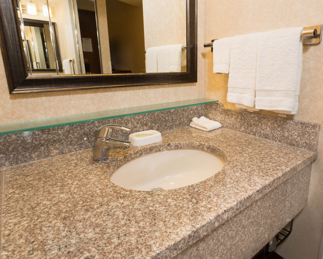Bathroom 3, Drury Inn & Suites Atlanta Airport, Fulton
