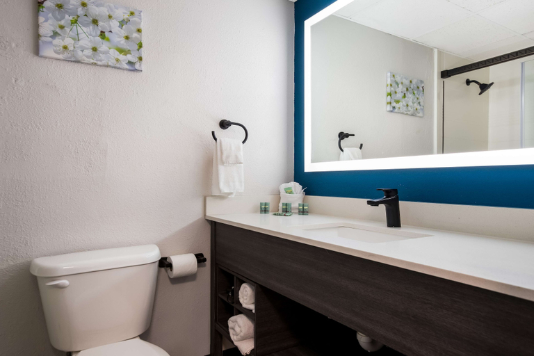 Bathroom 4, Best Western Bordentown Inn, Burlington