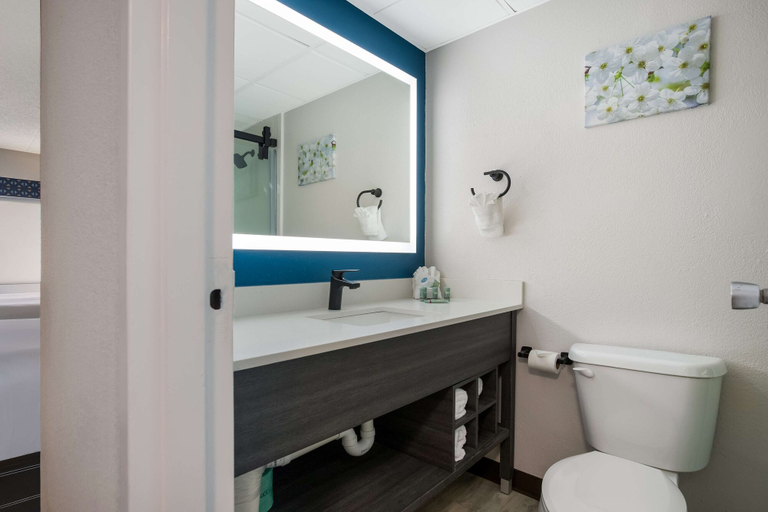Bathroom 4, Best Western Bordentown Inn, Burlington