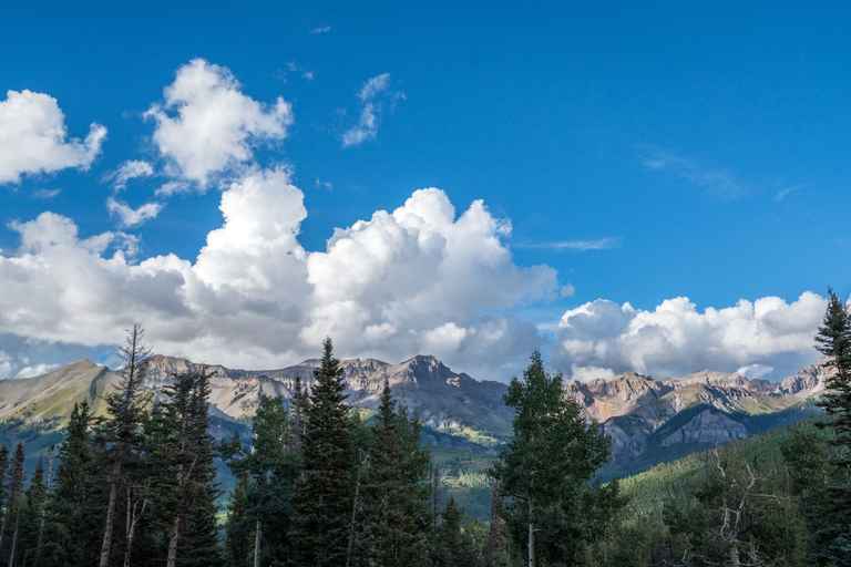 Others 5, Mt Wilson Basecamp 4 Bedroom Condo by Alpine Lodging Telluride, San Miguel