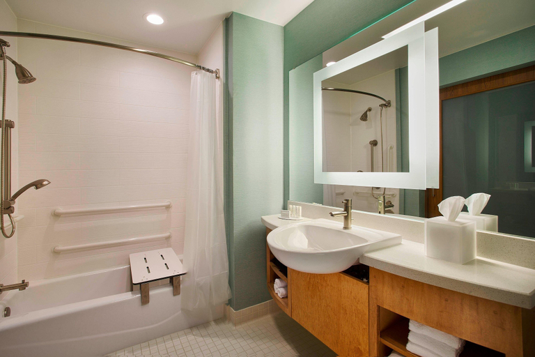 Bathroom 4, Springhill Suites by Marriott Houston Dwntn/Convention Cntr, Houston