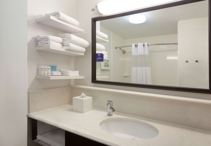 Bathroom 5, Hampton Inn Lawrenceville, Gwinnett