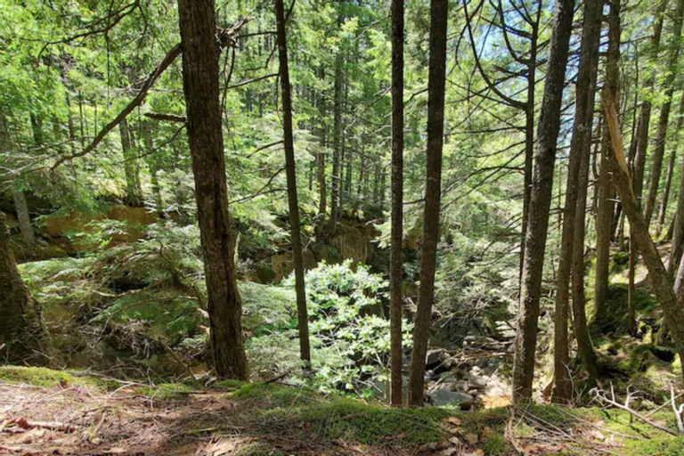 The Danbury, Grafton