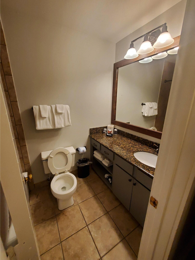 Bathroom 4, Callaway Resort & Gardens, Harris