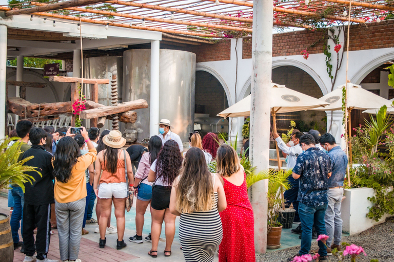 Food & Drinks 4, Glamping Toneles y Viñedos, Ica