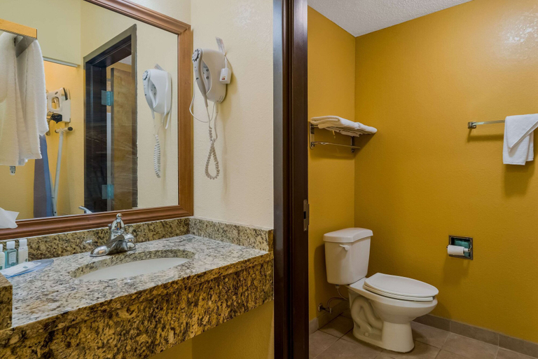 Bathroom 5, Quality Inn Jefferson at I-85, Jackson