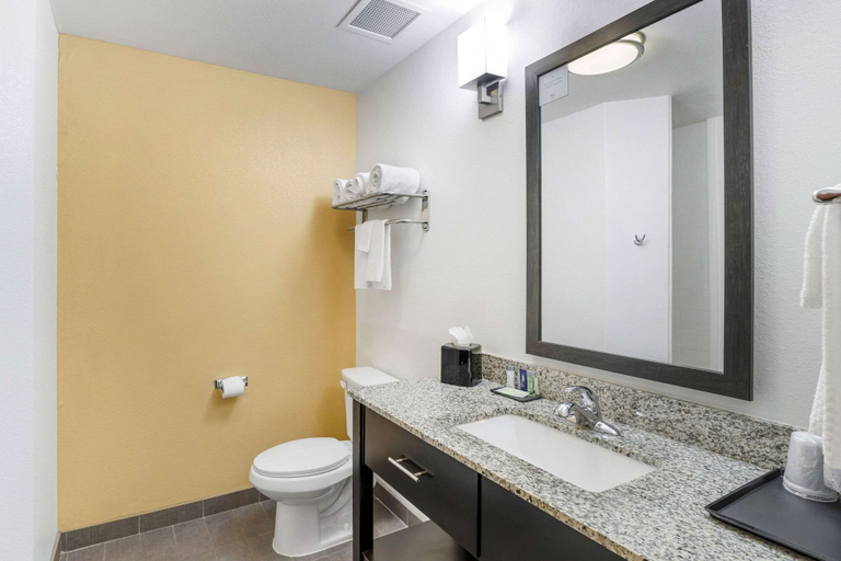 Bathroom 4, Sleep Inn & Suites Carlsbad Caverns Area, Eddy