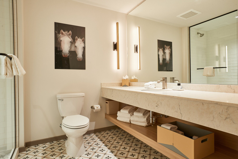 Bathroom 3, NOUN Hotel, Norman, a Tribute Portfolio Hotel, Cleveland