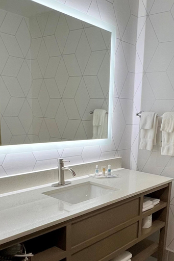 Bathroom 4, Comfort Suites Hudson I-94, Saint Croix