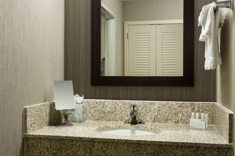 Bathroom 4, Courtyard by Marriott Houston Downtown/Convention Center, Houston