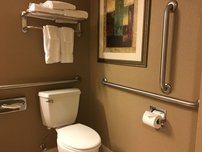 Bathroom 4, Wingate by Wyndham Coon Rapids, Anoka
