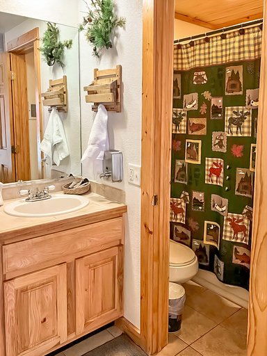 Bathroom 4, Nicky's Resort, Larimer