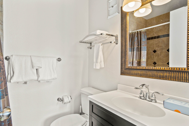 Bathroom 4, Port A The View, Nueces