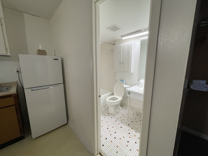 Bathroom 3, The Oceanfront Viking Motel, Horry