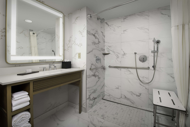Bathroom 4, Embassy Suites by Hilton Dulles North Loudoun, Loudoun