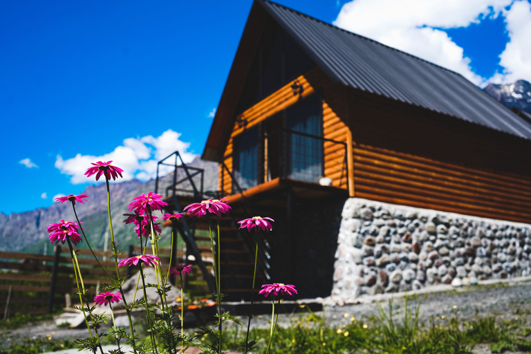 Exterior & Views 2, Traveler's Cottage in Kazbegi, Kazbegi