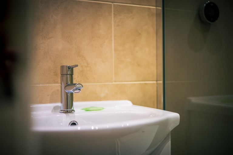 Bathroom 3, The Three Horseshoes, Durham