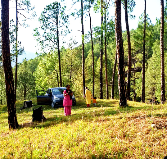 Others 4, Binsar Jungle House HomeStay "A Nature Retreat", Almora
