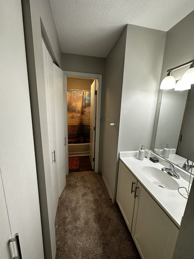 Bathroom, Glamorous 2B2BA with patio views and gym, Hennepin