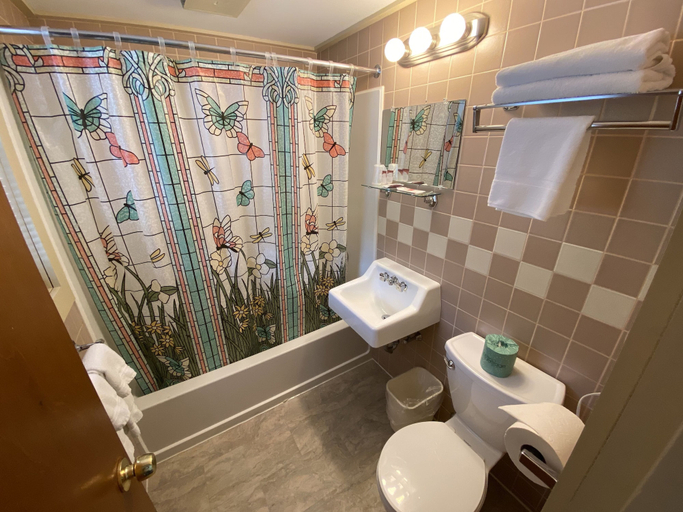 Bathroom 4, School House Inn, Carroll