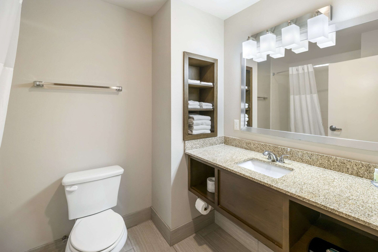 Bathroom 4, Quality Inn & Suites Carlsbad Caverns Area, Eddy