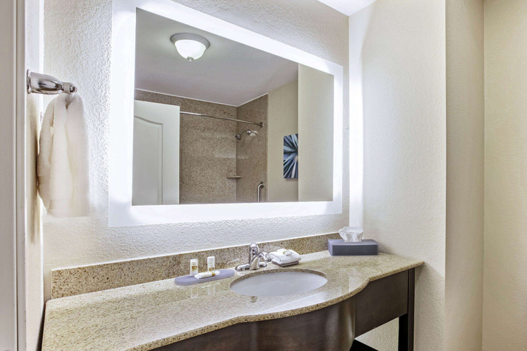 Bathroom 4, La Quinta Inn & Suites by Wyndham Garland Harbor Point, Dallas