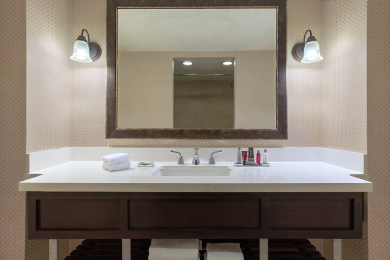 Bathroom 5, Atlanta Marriott Perimeter Center, DeKalb