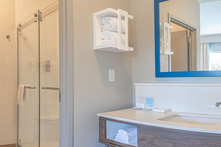 Bathroom 4, Hampton Inn & Suites Boerne, Kendall