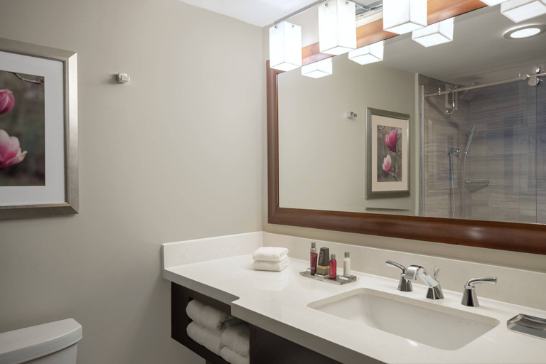 Bathroom 5, Atlanta Marriott Perimeter Center, DeKalb