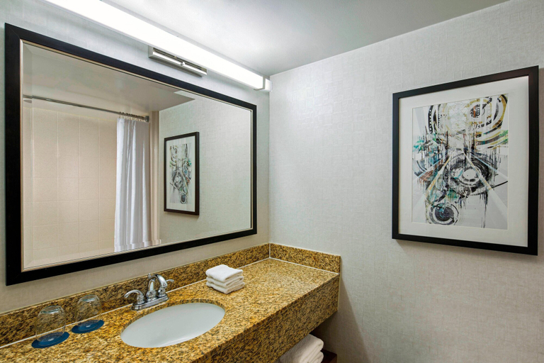 Bathroom 4, Sheraton West Des Moines Hotel, Polk