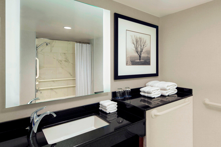 Bathroom 4, Sheraton West Des Moines Hotel, Polk