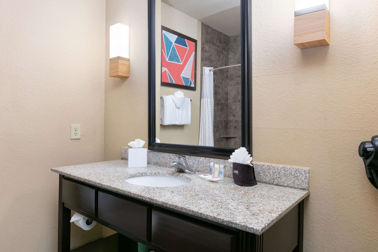 Bathroom 3, Comfort Suites Arlington - Entertainment District, Arlington
