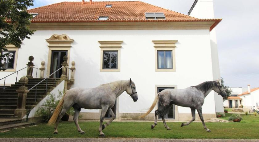Quinta da Aldeia de Avanca, Estarreja