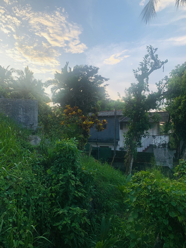 Others 5, Jungle City Hostel, Galle Four Gravets