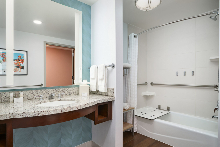 Bathroom 3, Hilton Garden Inn Atlanta Midtown, Atlanta