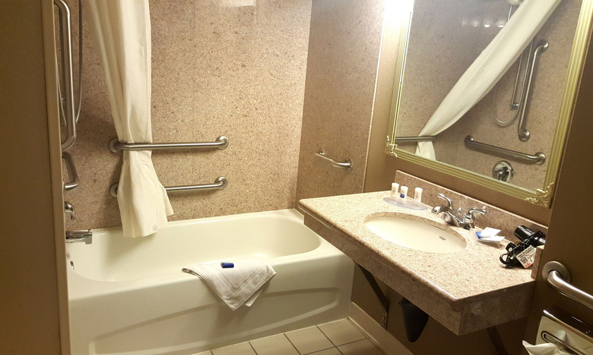 Bathroom 4, Wingate by Wyndham Coon Rapids, Anoka