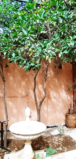 Bathroom 4, Le petit jardin Marrakech, Marrakech