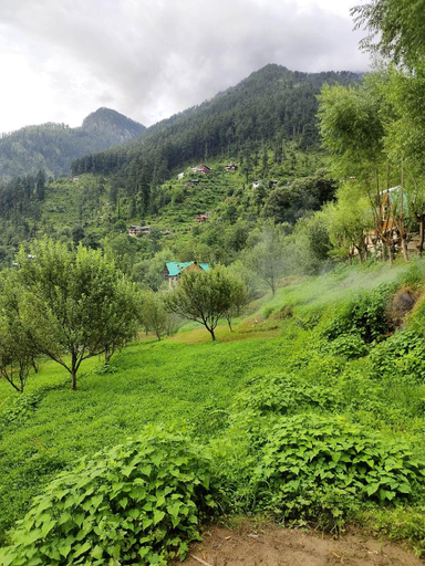 Others 5, the farm cottages, Kullu