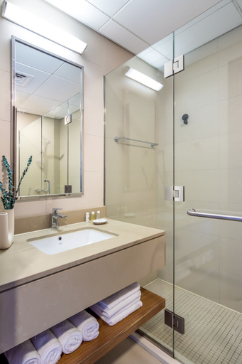 Bathroom 4, Silkhaus Burj Daman, DIFC Dubai, Dubai