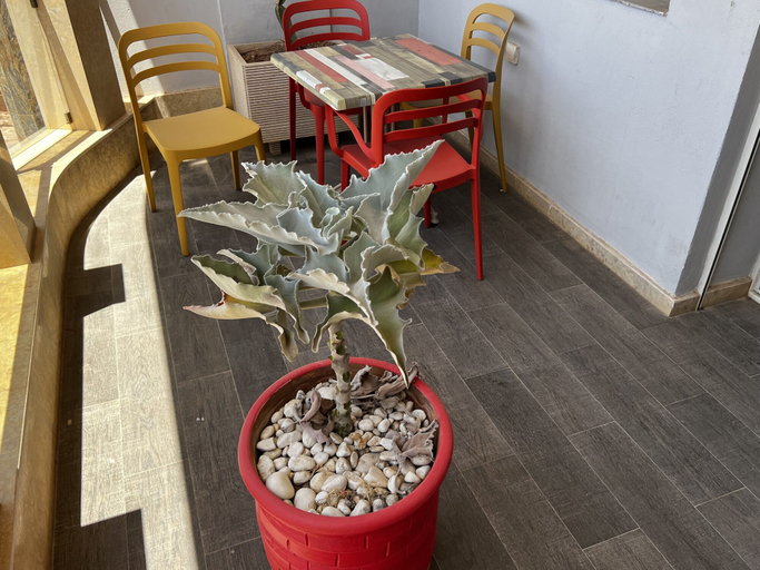 Others 4, SUDRESIDENCE, Agadir-Ida ou Tanane