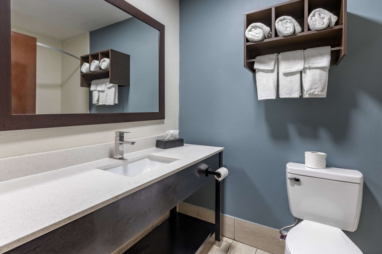 Bathroom 4, Sleep Inn & Suites Grovetown - Augusta West, Columbia